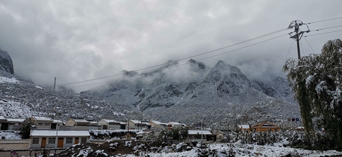 1629264969108893.jpg 1.jpg